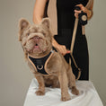 Load image into Gallery viewer, SoHo Dog Harness - Crosby
