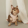 Load image into Gallery viewer, 3-in-1 City Dog Leash - Madison
