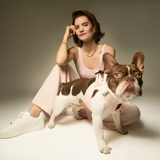 DOGISTRY SoHo Dog Harness - Sweetheart