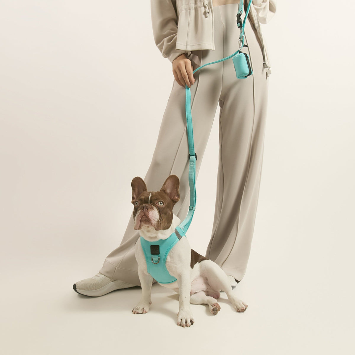 DOGISTRY SoHo Dog Harness - Fifth Avenue