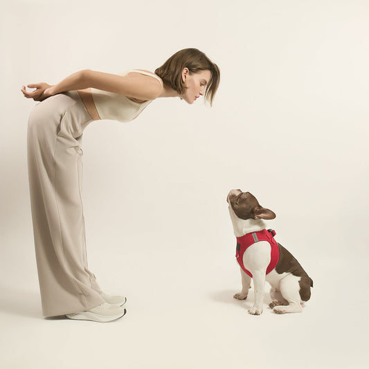 DOGISTRY SoHo Dog Harness - Iconic Red