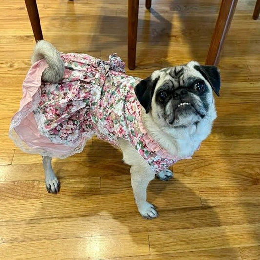 Vintage Rose Harness Dog Dress & Leash Set - Southlake Paws