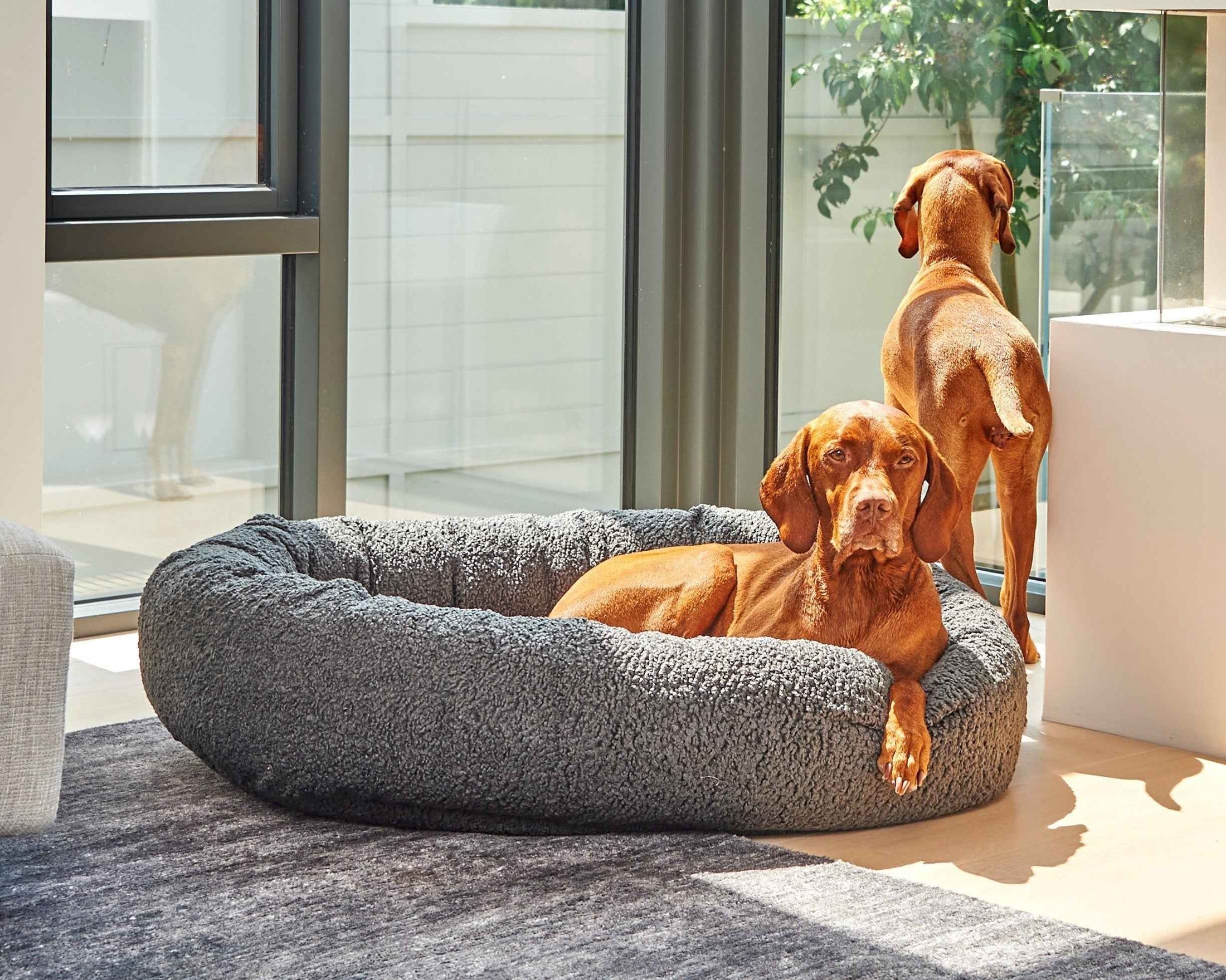 Bowsers Soft Textures Calming Donut Dog Bed in grey-sheepskin