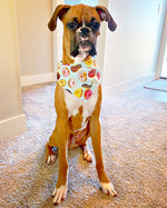 Donuts Tie Dog Bandana