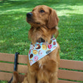 Load image into Gallery viewer, Donuts Tie Dog Bandana
