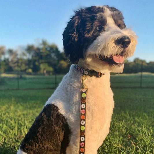 Up Country Donuts Cast Brass Dog Collar