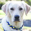 Load image into Gallery viewer, Polka Dot Dog Collars, Leads, and Bows on Blue - 5 Styles
