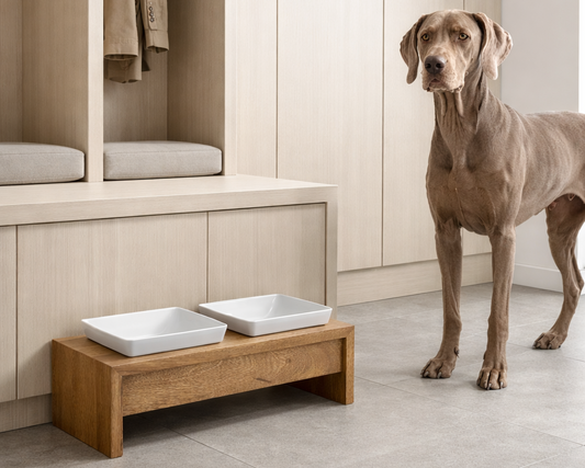 Bowsers Double Artisan Wood Dog Bowl Feeder - Elevated Designer Pet Dining