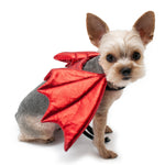 Dragon Wing