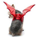 Dragon Wing