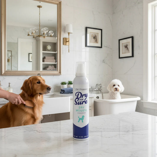 Dry For Sure Dry Mousse 10oz by Chris Christensen professional dog grooming tool Southlake Paws