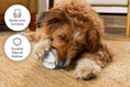 Load image into Gallery viewer, LAY LO Treat Dispensing Rubber Toy
