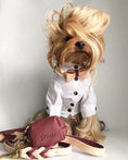 Load image into Gallery viewer, COLLAR - LUSCIOUS BOW

