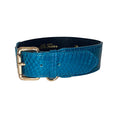 Load image into Gallery viewer, Dark Turquoise Classic Style Snake Collar With Classic Gold Hardware
