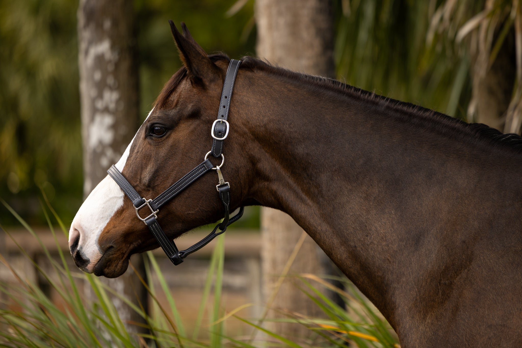GHC Triple Stitch Halter