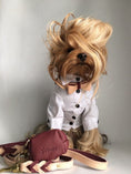 Load image into Gallery viewer, WASTE BAG HOLDER - LUSCIOUS BOW
