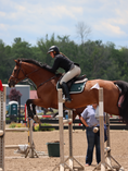 Load image into Gallery viewer, Jump Saddle Pad | Green- Black & White
