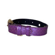 XS/S 7”-14” Iridescent Purple Custom Snake Collar/Custom Gold Italian Hardware