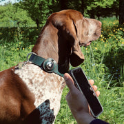 Find Me Apple AirTag Dog Collar Slider