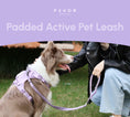 Load image into Gallery viewer, PADDED  ACTIVE  PET LEASH  - MINT PURPLE
