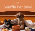 Load image into Gallery viewer, Soufflé Pet Bowl - Amber Orange
