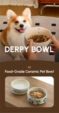 Load image into Gallery viewer, DERPY BOWL
