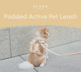 Load image into Gallery viewer, PADDED  ACTIVE  PET LEASH  - APRICOT
