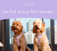 Load image into Gallery viewer, NO PULL ACTIVE  PET HARNESS - MINT PURPLE
