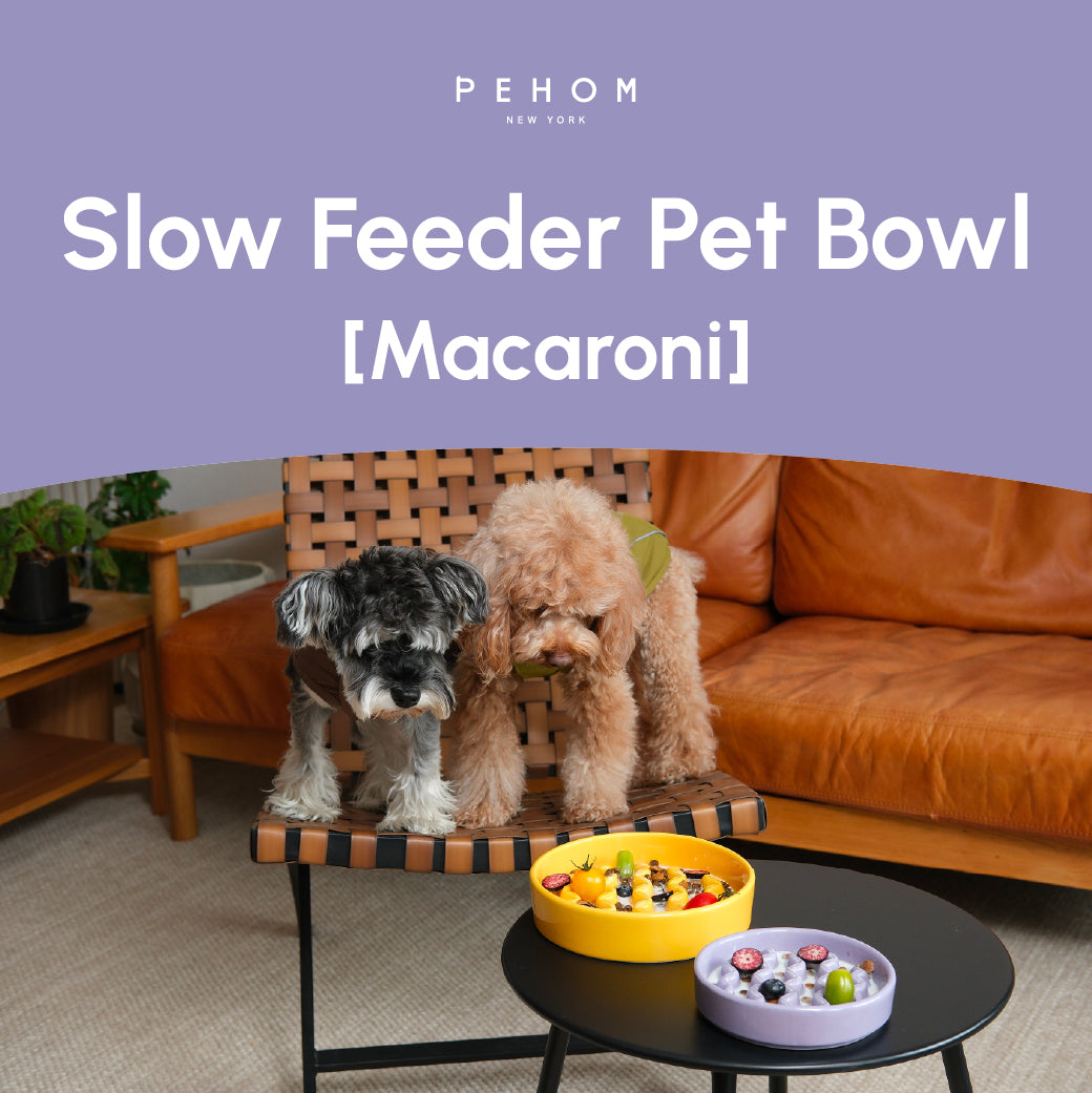 [Macaroni] Slow Feeder Dog Bowls - Yellow / Frozen Blue / Purple