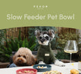 Load image into Gallery viewer, [Spark] Slow Feeder Dog Bowls - Red / Green / Blue
