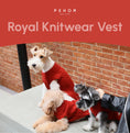 Load image into Gallery viewer, Pet Sweater Vest - Red
