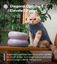 Load image into Gallery viewer, Soufflé Pet Bowl - Purple
