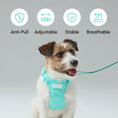 Load image into Gallery viewer, NO PULL ACTIVE  PET HARNESS - MINT GREEN
