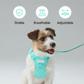 Load image into Gallery viewer, PADDED  ACTIVE  PET LEASH  - MINT GREEN
