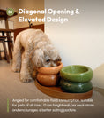 Load image into Gallery viewer, Soufflé Pet Bowl - Avocado Green
