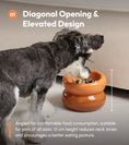 Load image into Gallery viewer, Soufflé Pet Bowl - Amber Orange
