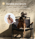 Load image into Gallery viewer, PADDED  ACTIVE  PET LEASH  - APRICOT
