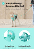 Load image into Gallery viewer, NO PULL ACTIVE  PET HARNESS - MINT GREEN
