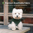 Load image into Gallery viewer, Pet Sweater Vest - Green
