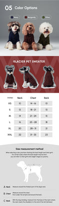 Load image into Gallery viewer, GLACIER PET SWEATER - BURGUNDY
