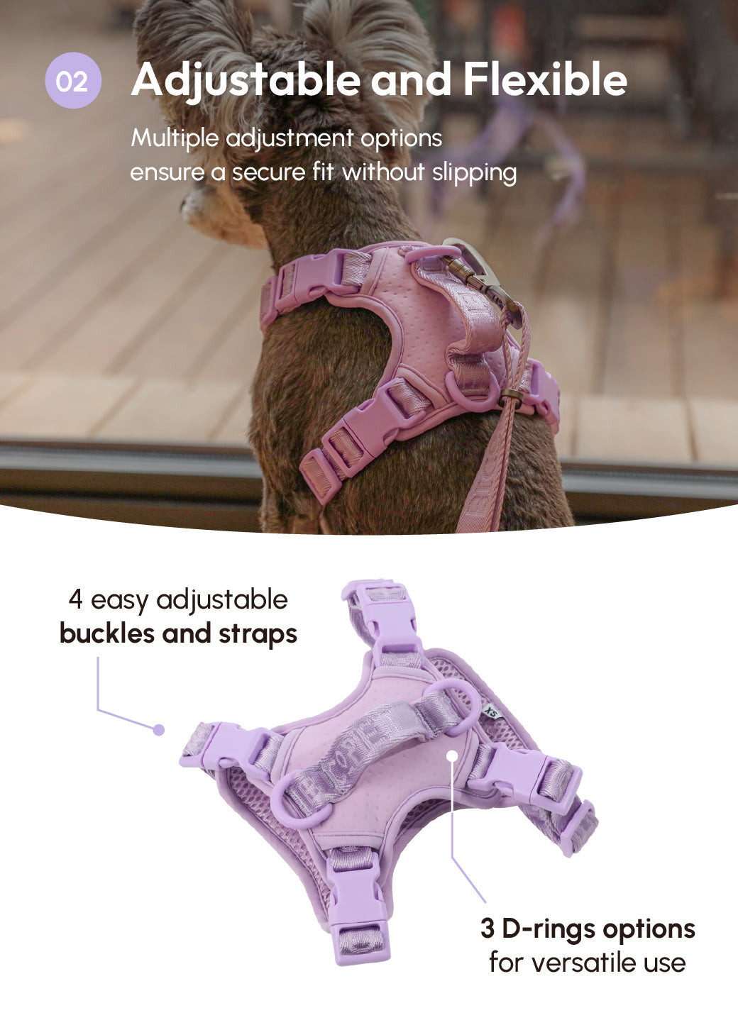 NO PULL ACTIVE  PET HARNESS - MINT PURPLE