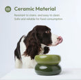 Load image into Gallery viewer, Soufflé Pet Bowl - Avocado Green
