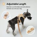 Load image into Gallery viewer, PADDED  ACTIVE  PET LEASH  - APRICOT
