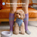 Load image into Gallery viewer, Pet Sweater Vest - Ice Blue
