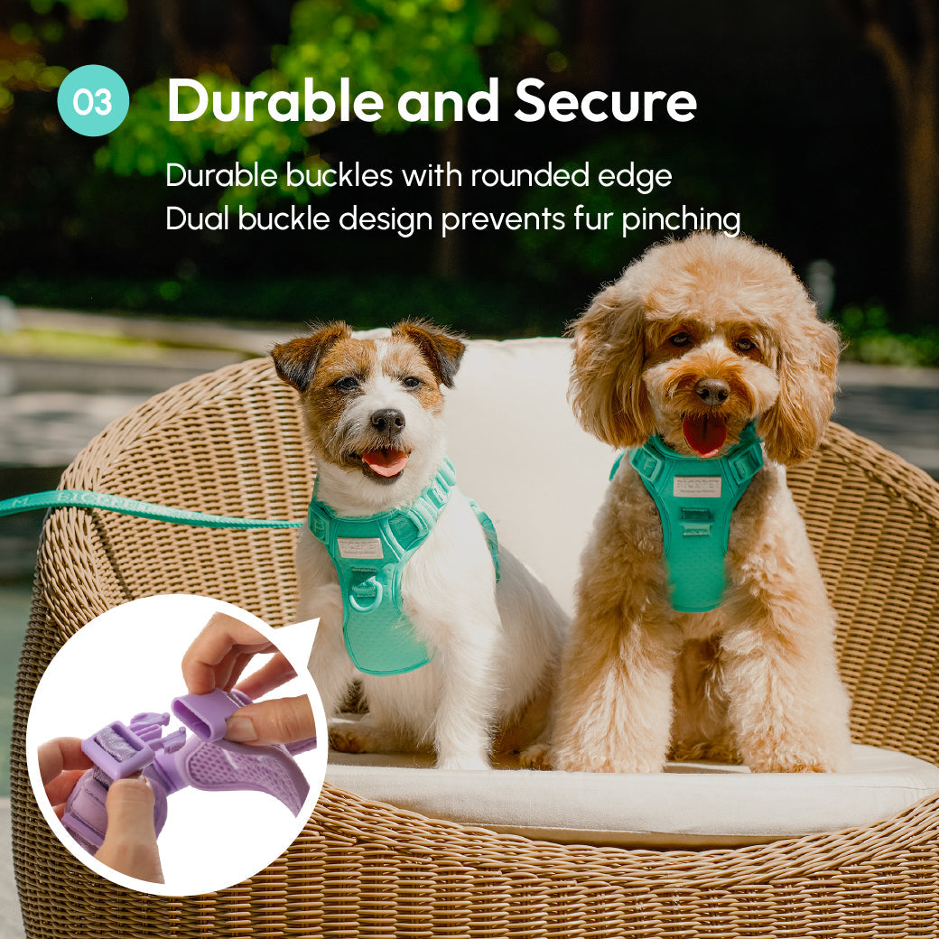 NO PULL ACTIVE  PET HARNESS - MINT GREEN