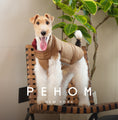 Load image into Gallery viewer, Reversible Dog Vest Jacket -  Red Brown
