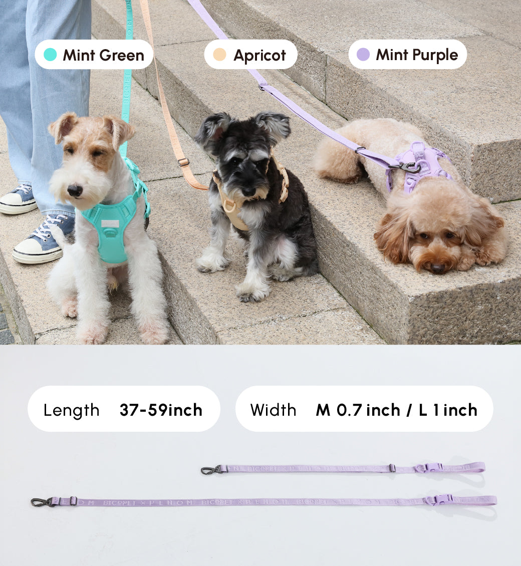 PADDED  ACTIVE  PET LEASH  - APRICOT