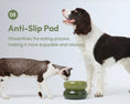 Load image into Gallery viewer, Soufflé Pet Bowl - Avocado Green
