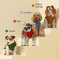 Load image into Gallery viewer, Pet Sweater Vest - Red
