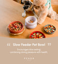 Load image into Gallery viewer, [Wave] Slow Feeder Dog Bowls - Pink / Beige / Orange
